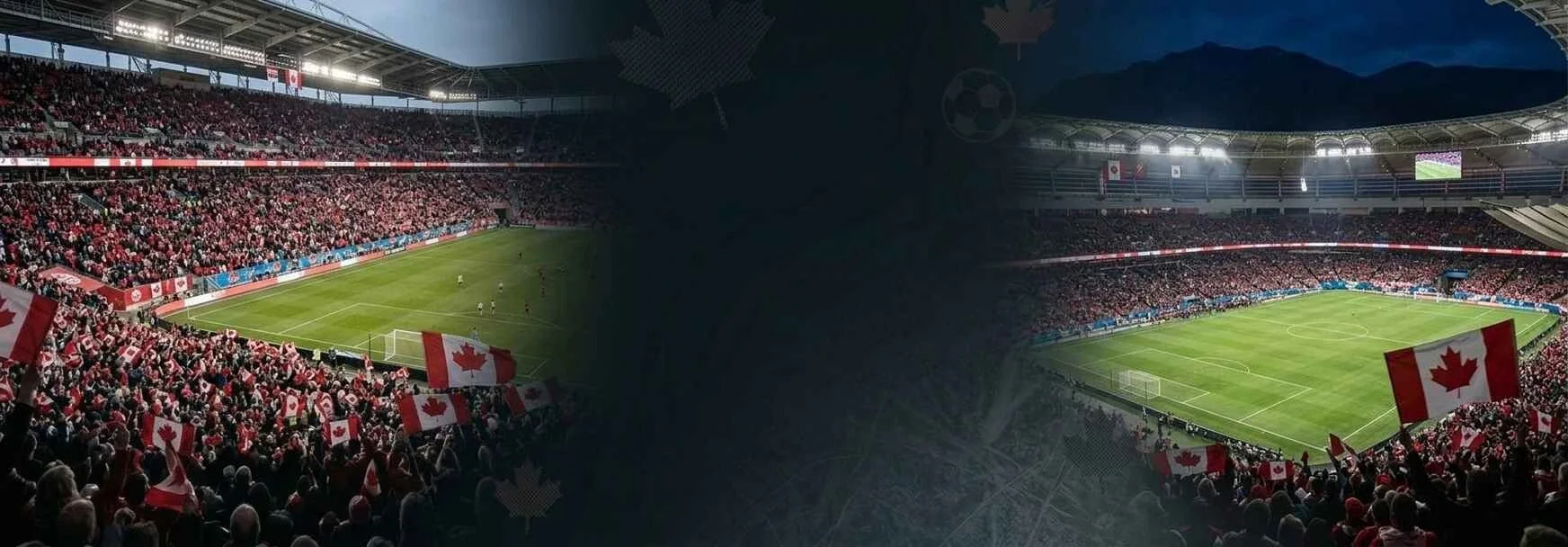 BetPicks