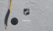 NHL 2020-21 NHL 2020-21